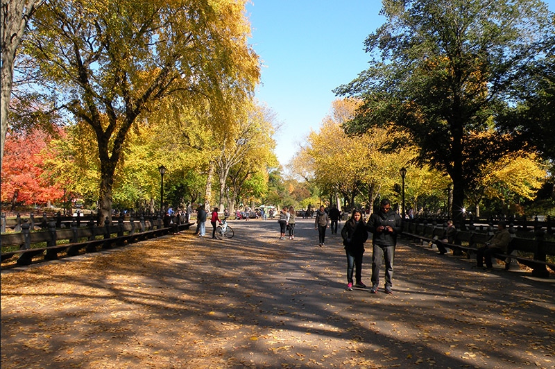 Central Park