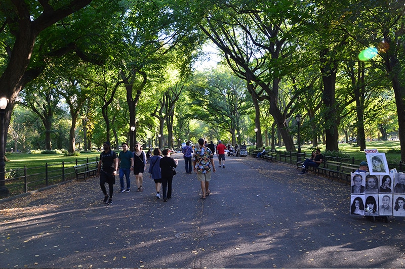 Central Park